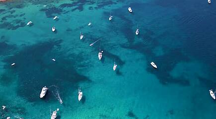Fior di Sardegna