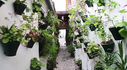 Impressionen Spanien Festland
