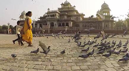 Indien - Die schönsten Höhepunkte Rajasthans entdecken