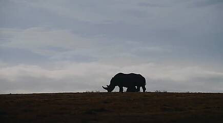 Impressionen einer Safari-Reise in Afrika