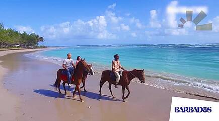 Impressionen Barbados und Ihr Accra Beach Hotel & Spa