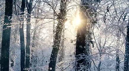 Winter-Impressionen