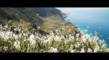Impressionen Lissabon und Madeira