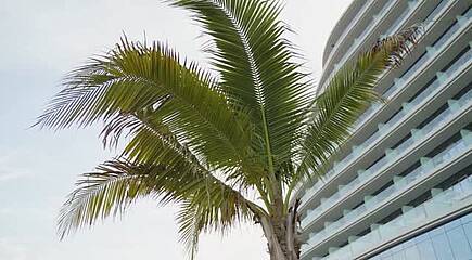 das 5* SO/ Ras Al Khaimah: die Luxus-Neueröffnung des Jahres 2025
